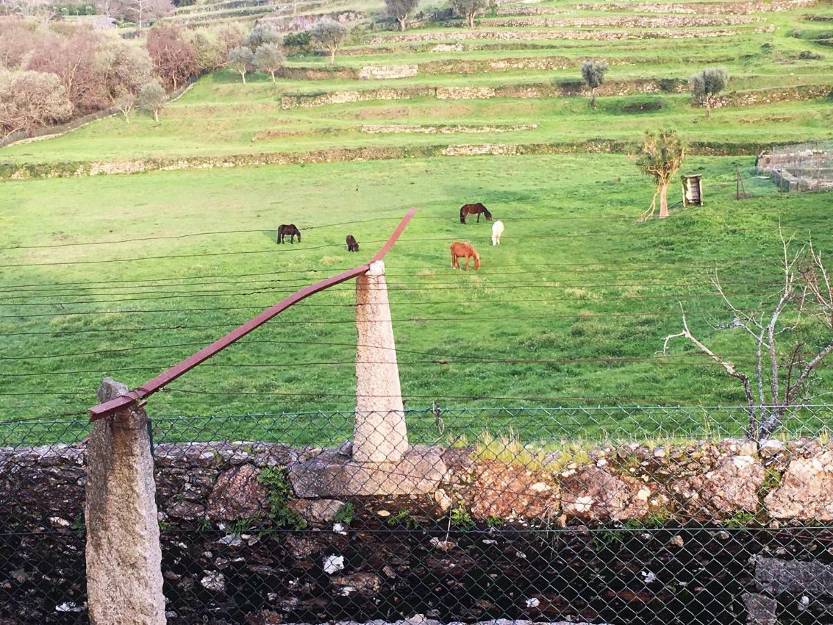 منزل الضيف فيلا نوفا دي سيرفيرا  في Casas Da Loureira - Casa Do Pote المظهر الخارجي الصورة